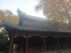 -灵谷景区