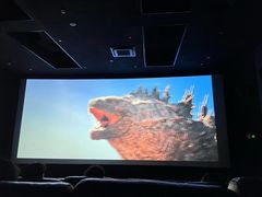 -大光明丽星VIP影城(昌里路杜比全景声店)