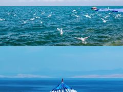 -青海湖国家重点风景名胜区