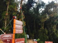 -大京沙滩