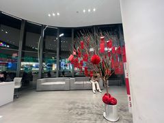-TESLA 特斯拉(广州天环广场体验店)