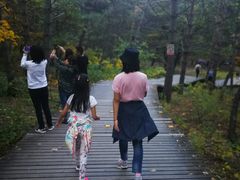 -帽儿山国家森林公园