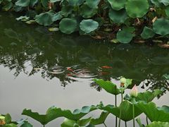 -成都市文化公园