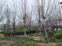 -和众大油条(维明路店)