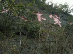 -重庆云阳龙缸景区