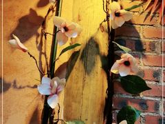 -在路上酒吧(大理古城店)