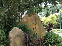 -晓港公园