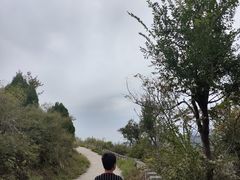 -府君山公园