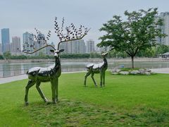 -西北湖绿化广场