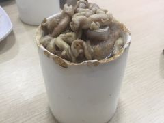 -广达眼镜炖罐(广达店)