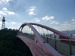 -金鸡山公园