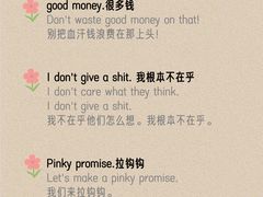 -引领英语·成人口语·雅思托福