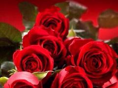 -乐圣量贩KTV自助餐(崇文店)