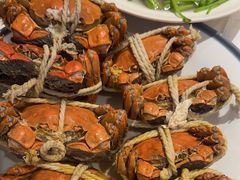 -杨氏青龙虾·羊蝎子(托乐嘉店)