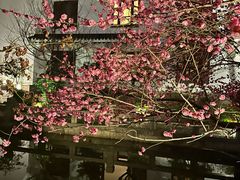 -苏州吴宫泛太平洋酒店