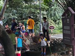 -成都市活水公园
