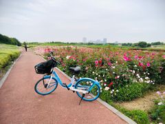 -苏州湾体育公园