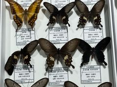 -烟台市博物馆