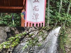 -宁波五龙潭景区