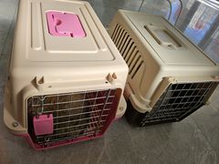 -中农国际动物医院24小时·猫科·骨科·急重症中心