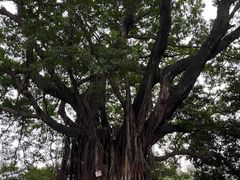 -东山湖公园
