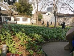 -绍兴鲁迅故里·沈园景区