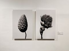 -云间粮仓