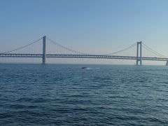 -星海湾跨海大桥
