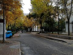 -中央民族大学