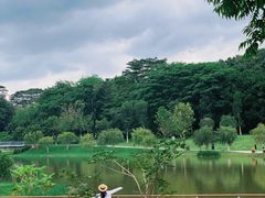 -东莞植物园