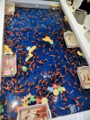 -孩子王(巴南万达广场店)