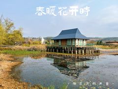 -月亮湾湿地公园