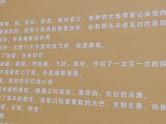 -德基艺术博物馆