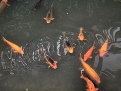 -云中大漈