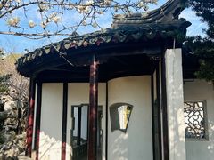 -八大山人梅湖景区