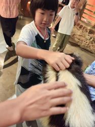 -Zoolung Zoolung动物主题公园(海信广场店)