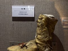 -巴音郭楞蒙古自治州博物馆