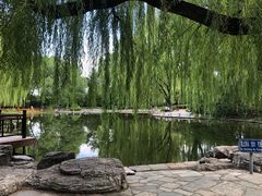 -玲珑塔公园