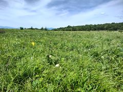 -白草畔自然风景区