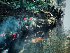 -Chom Cafe and Restaurant