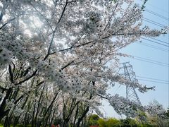 -外高桥保税区南(地铁站)