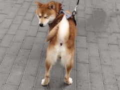 -美联众合24小时·皮肤科·外科·全科诊疗中心(华苑分院)