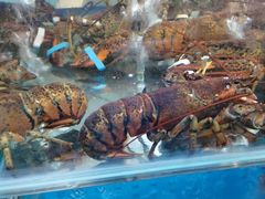 -正能量1号海鲜加工店