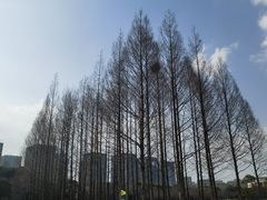 -尚贤河湿地