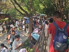 -观潮胜地公园