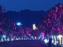 -重庆海昌加勒比海水世界