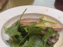 -聚福山莊·寻味顺德(北滘店)