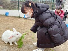 -洪湖家庭农场·团建·露营·会议
