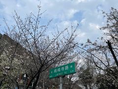 -鸡鸣赐茶(鸡鸣寺路店)