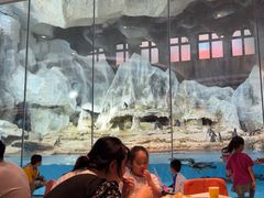 -帝企鹅自助餐厅•儿童岛•真企鹅(长隆企鹅酒店)